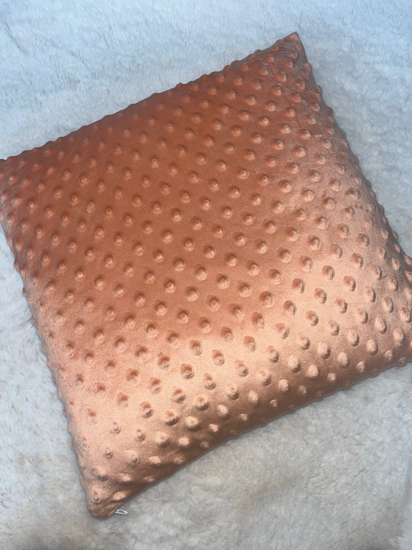 Coussin déhoussable