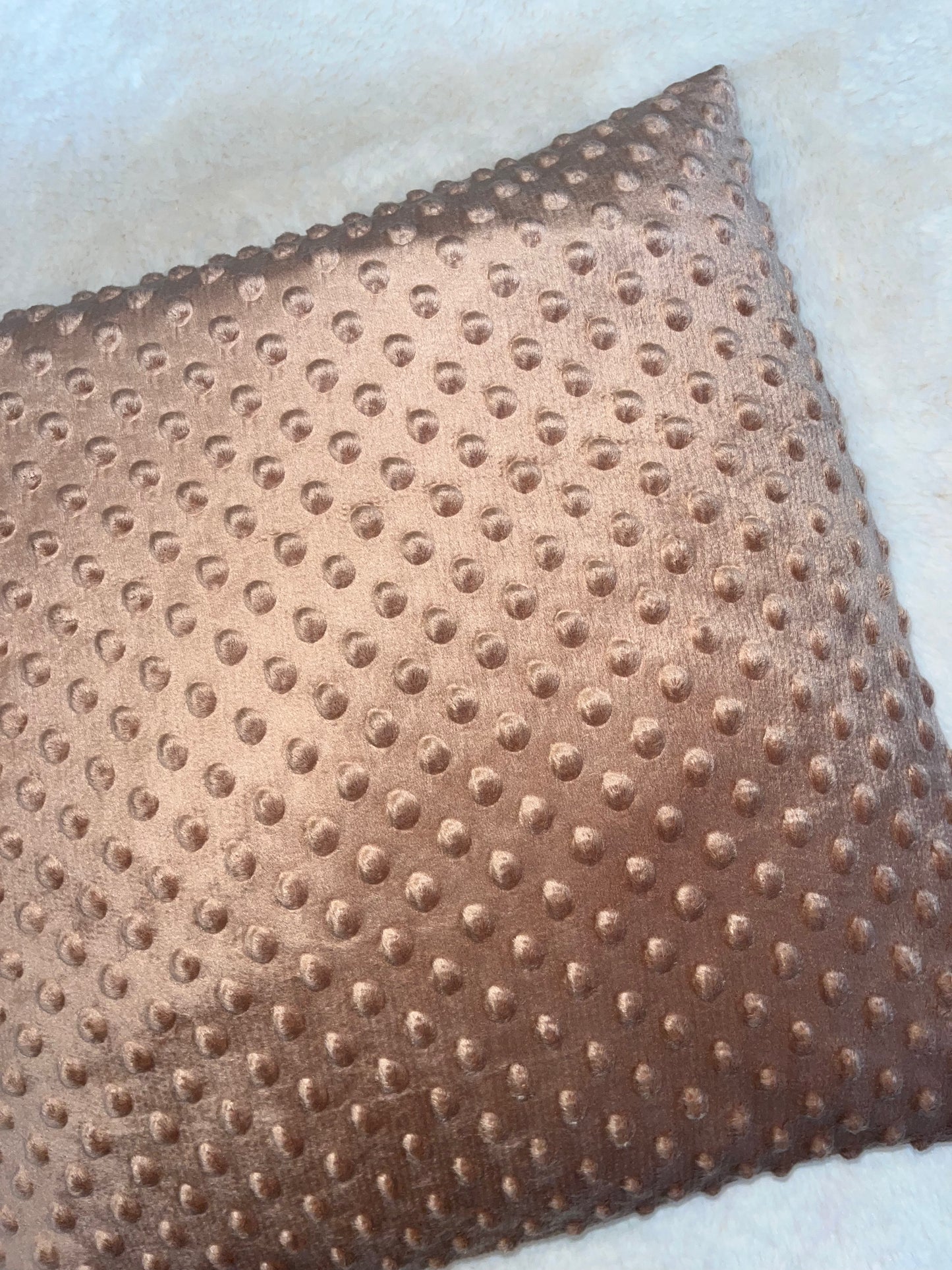 Coussin déhoussable
