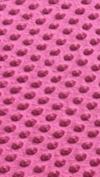 Couverture tortue