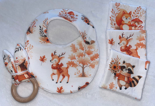 Coffret naissance animaux de la forêt