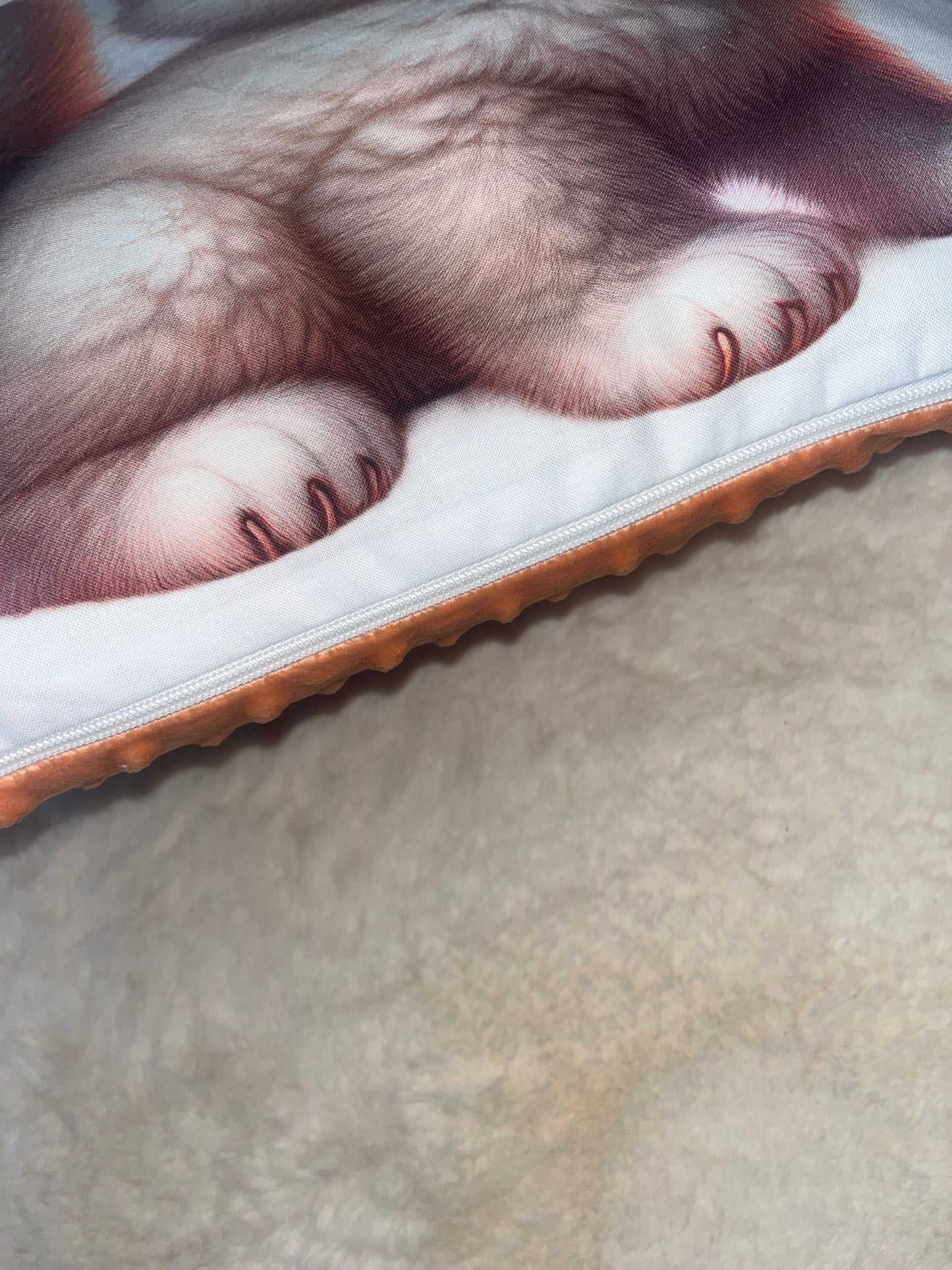 Coussin déhoussable