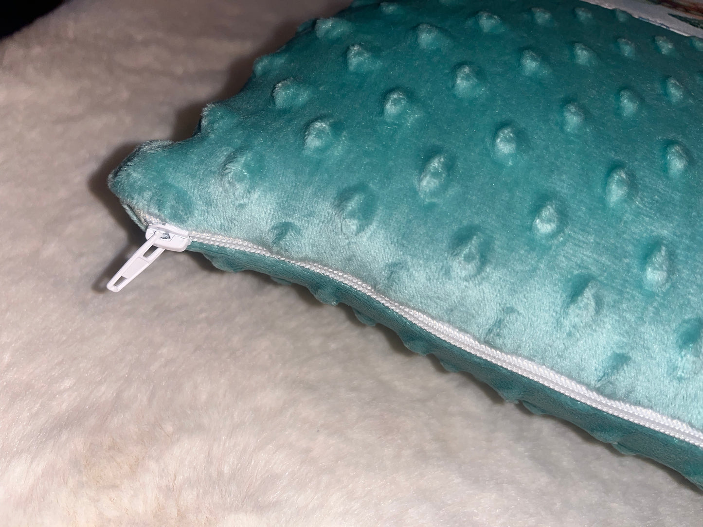 Coussin déhoussable tortue
