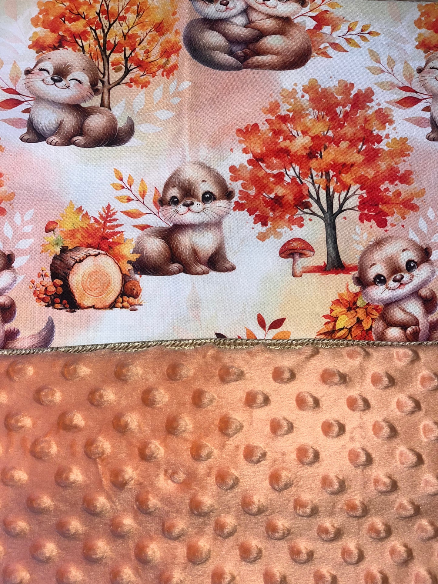 Protège carnet de santé tortue