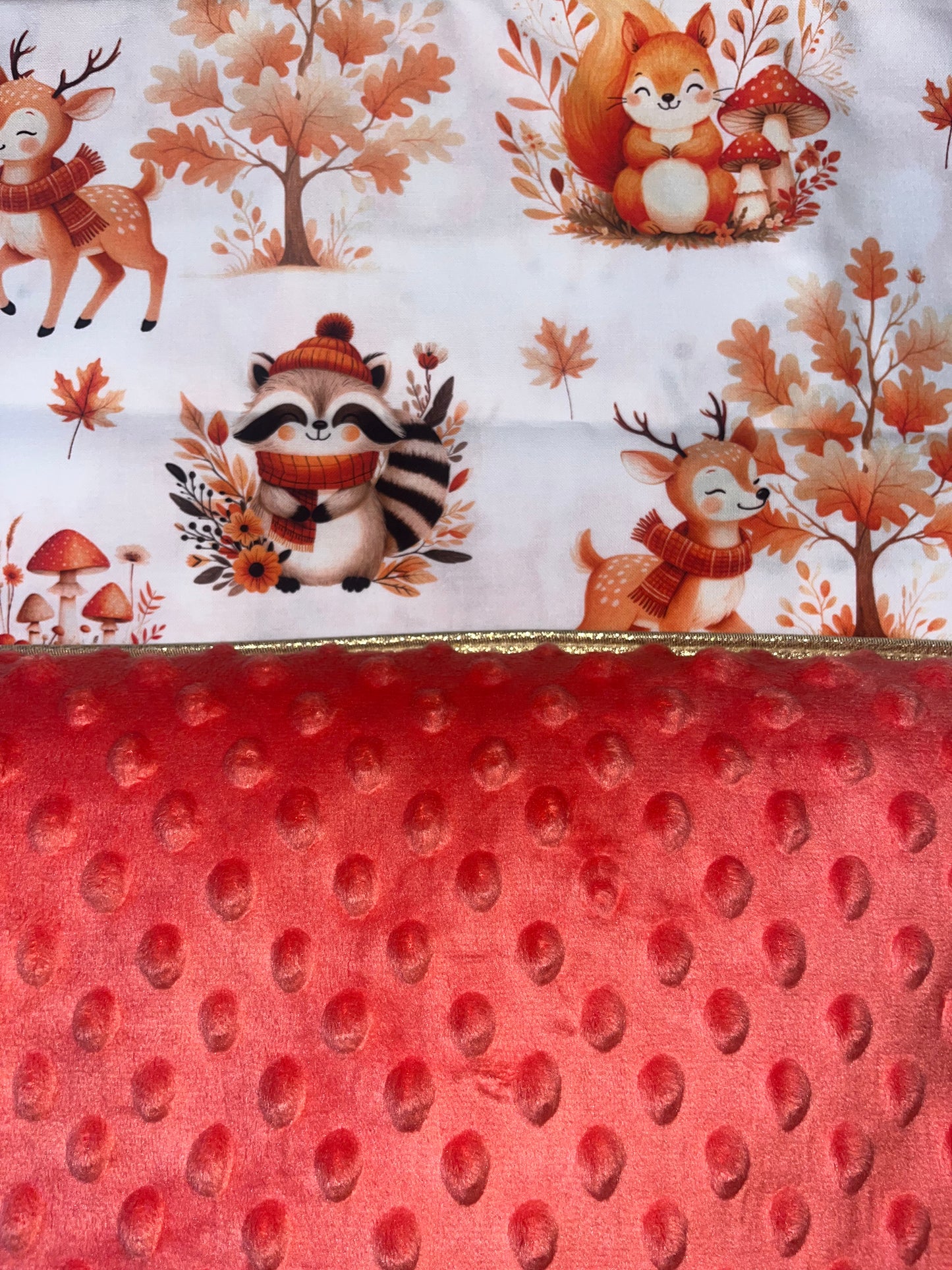 Protège carnet de santé tortue